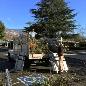 Martin Luther King Day of Service, SBBG staff working at Monte Vista School