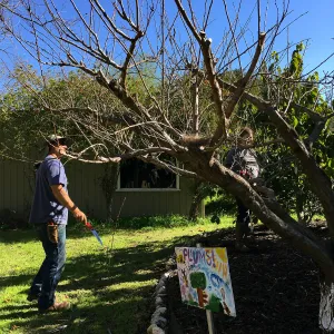 Martin Luther King Day of Service, SBBG staff working at Monte Vista School