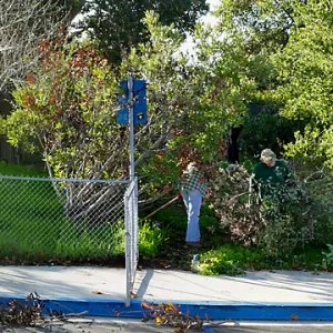 Martin Luther King Day of Service, SBBG staff working at Monte Vista School