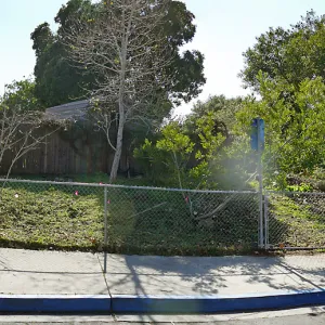Martin Luther King Day of Service, Monte Vista School Native Plant Area after cleanup work