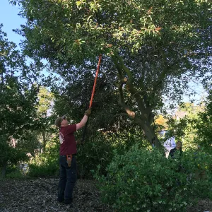 Martin Luther King Day of Service, SBBG staff working at Monte Vista School