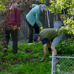 Martin Luther King Day of Service, SBBG staff working at Monte Vista School