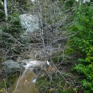Alder, Mission Creek and Lassiter Boulder north of Campbell Bridge