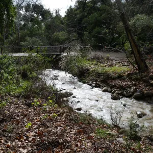 Mission Creek flowing towards Mission Dam