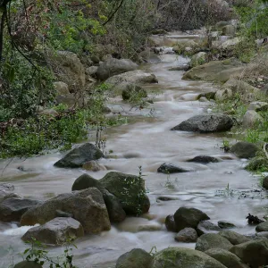 Mission Creek above Redwood Section