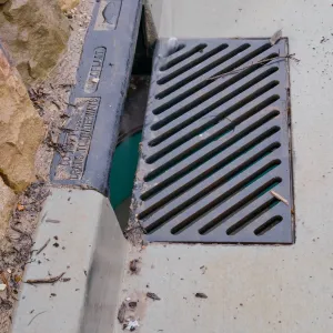 Rainwater entering a storm drain leading to the Pritzlaff Conservation Center bioswale