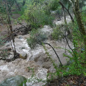Mission Creek above lower crossing during rainstorm