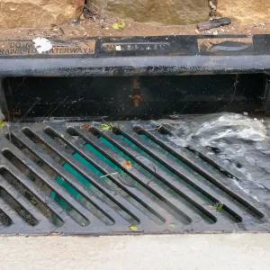 Rainwater entering a storm drain leading to the Pritzlaff Conservation Center bioswale