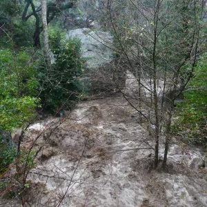  Alder, Mission Creek and Lassiter Boulder north of Campbell Bridge during rainstorm