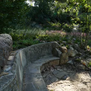Campbell Bench and heuchera in the Wooded Dell