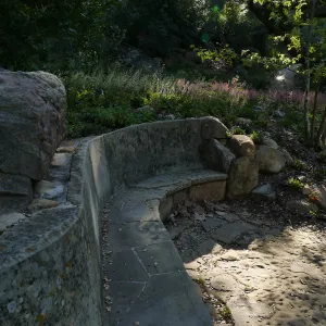 Campbell Bench and heuchera in the Wooded Dell