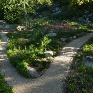 Wooded Dell