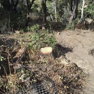 Getting ready for soil stock pile at Hansen archeological site