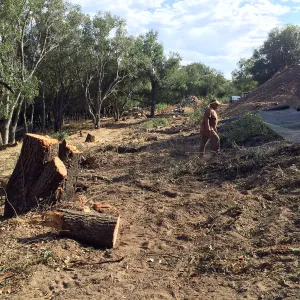 Getting ready for soil stock pile at Hansen site