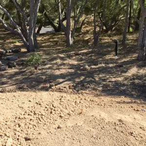Dirt stockpile at Hansen site