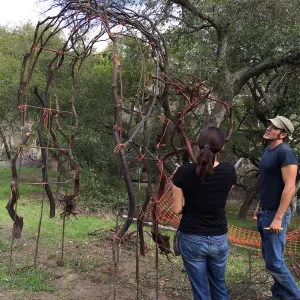 Adam Kuster and Betsy Lape constructing arch for the Centennial Maze