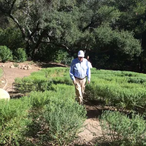 Centennial Maze