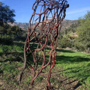 Finished arch for Centennial Maze