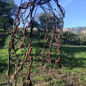 Finished arch for Centennial Maze