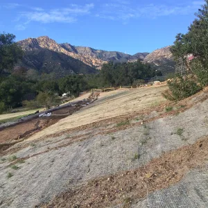 West slope of Pritzlaff Conservation Center showing jute netting for erosion control