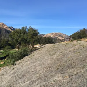 West slope of Pritzlaff Conservation Center showing jute netting for erosion control