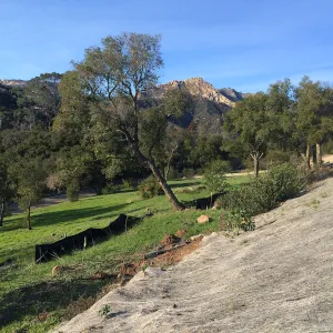 West slope of Pritzlaff Conservation Center showing jute netting for erosion control