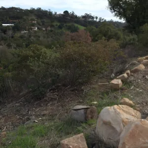 Condition of perimeter walls at Pritzlaff Conservation center before repair