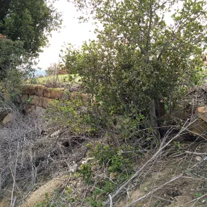 Condition of perimeter walls at Pritzlaff Conservation center before repair