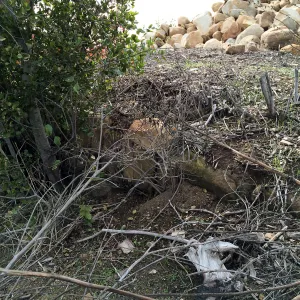 Condition of perimeter walls at Pritzlaff Conservation center before repair