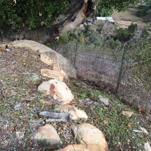 Condition of perimeter walls at Pritzlaff Conservation center before repair