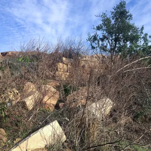 Condition of perimeter walls at Pritzlaff Conservation center before repair