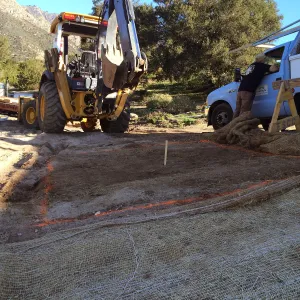 Planting hole location for Island oaks at Pritzlaff Conservation Center