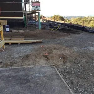 Planting hole location for Island oaks at Pritzlaff Conservation Center