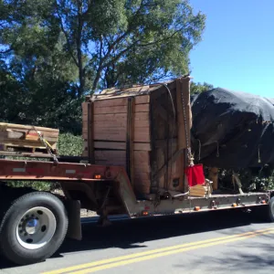 Delivery of Island Oaks at Prtizlaff Conservation Center
