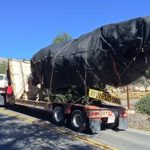 Delivery of Island Oaks at Prtizlaff Conservation Center