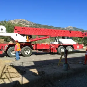 Delivery of Island Oaks at Prtizlaff Conservation Center