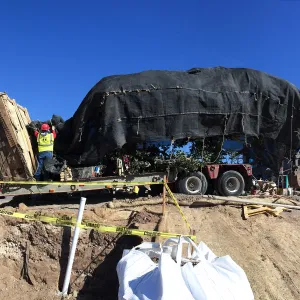 Delivery of Island Oaks at Prtizlaff Conservation Center