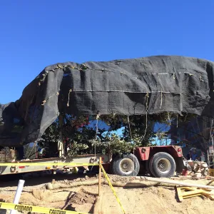 Delivery of Island Oaks at Prtizlaff Conservation Center