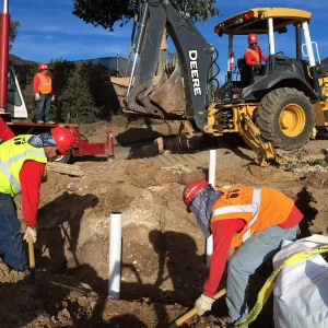 Planting of Island Oaks at the Pritzlaff Conservation Center