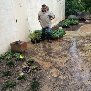 Jim Lechuga inspecting damage to Water Wise Home Demonstration Garden during installation