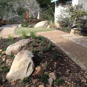 First plantings at Water Wise Home Garden