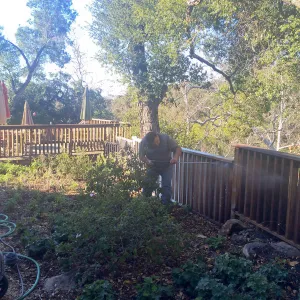 Jim Lechuga pressure washing fence at Water Wise Home Garden