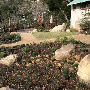 First plantings at Water Wise Home Garden