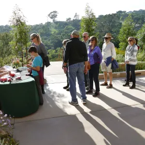 Members Picnic 2017, welcome table