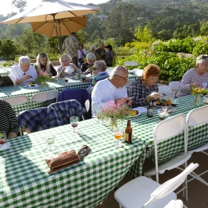 Members Picnic 2017