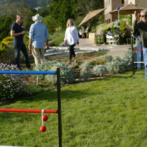Members Picnic 2017, games
