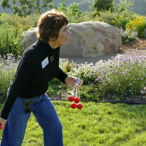 Members Picnic 2017, games