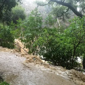 Water flowing into Fiber Arts Exhibit during rainstorm