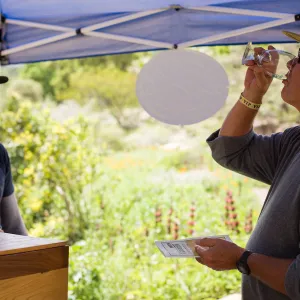 2017 Santa Barbara Beer Garden Event
