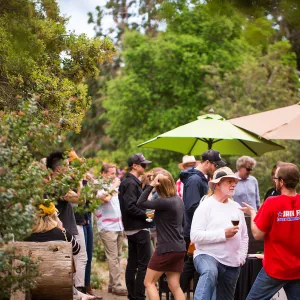 2017 Santa Barbara Beer Garden Event